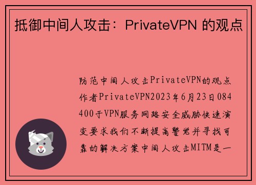 抵御中间人攻击：PrivateVPN 的观点
